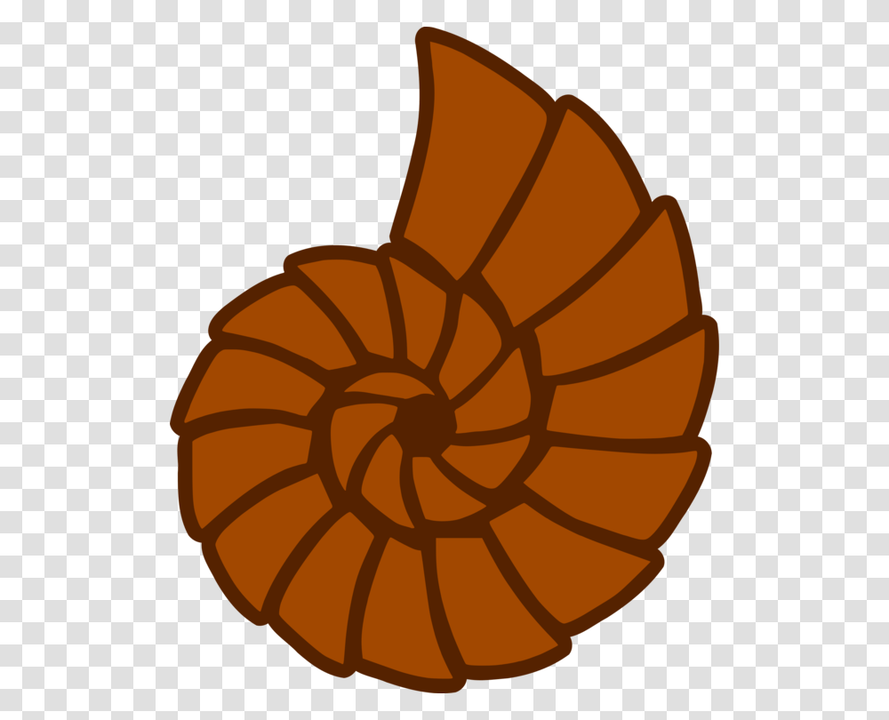 Seashell Sticker Drawing Decal Beach, Food, Spiral, Bakery, Shop Transparent Png