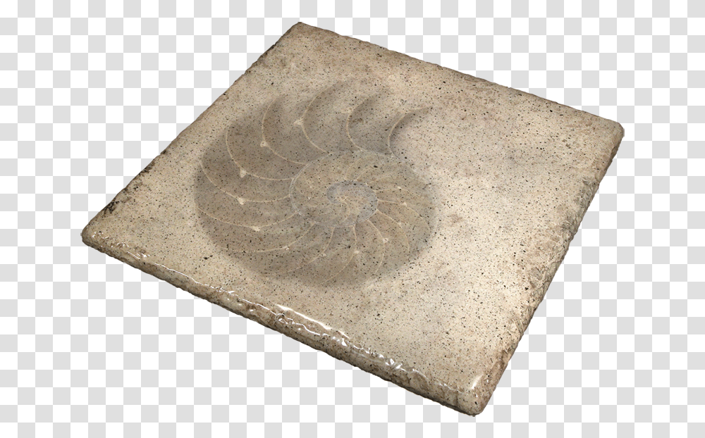 Seashell Stone Table Circle, Fossil, Soil, Bread, Food Transparent Png