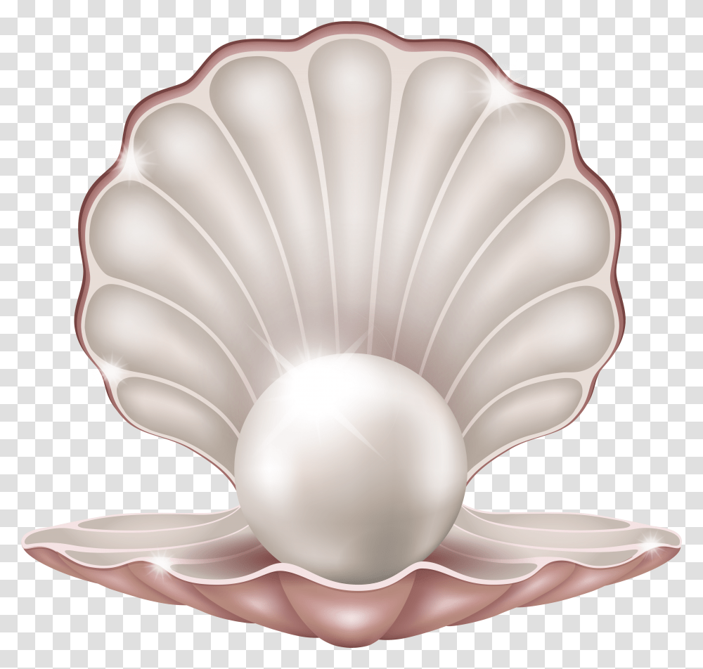 Seashell Transparent Png