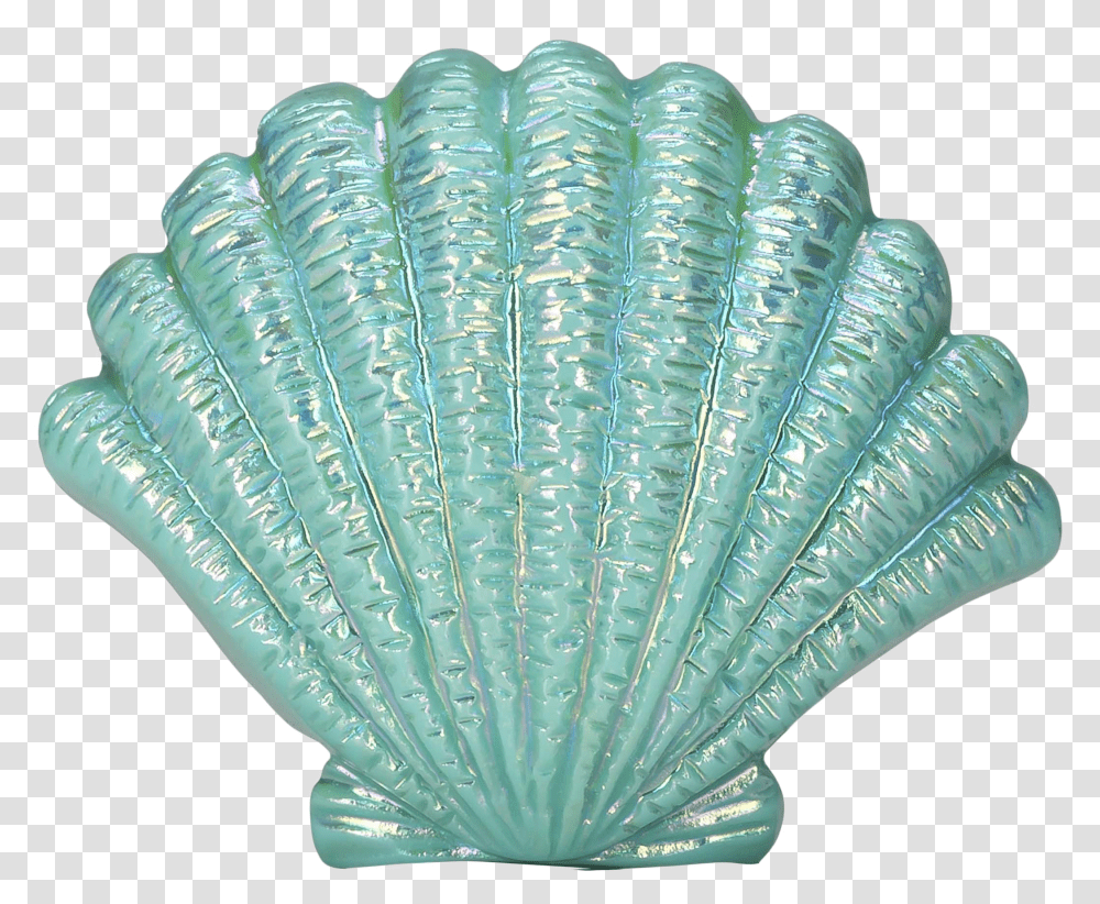 Seashell Transparent Png