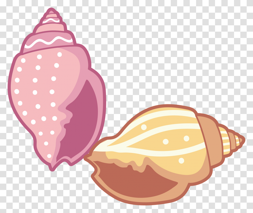 Seashells Cartoon, Sea Life, Animal, Invertebrate, Conch Transparent Png