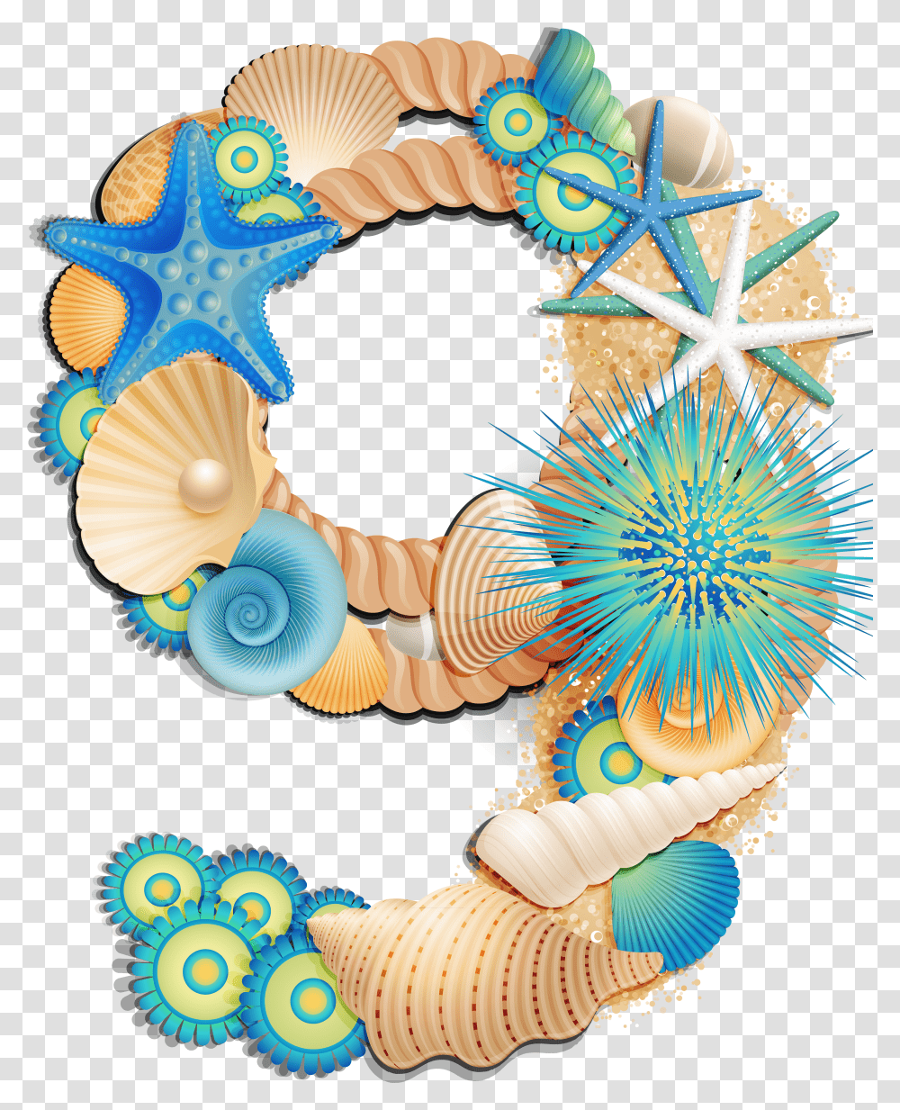 Seashells Clipart Beach Item Seashells Beach Item Decorative Numbers Clipart Transparent Png