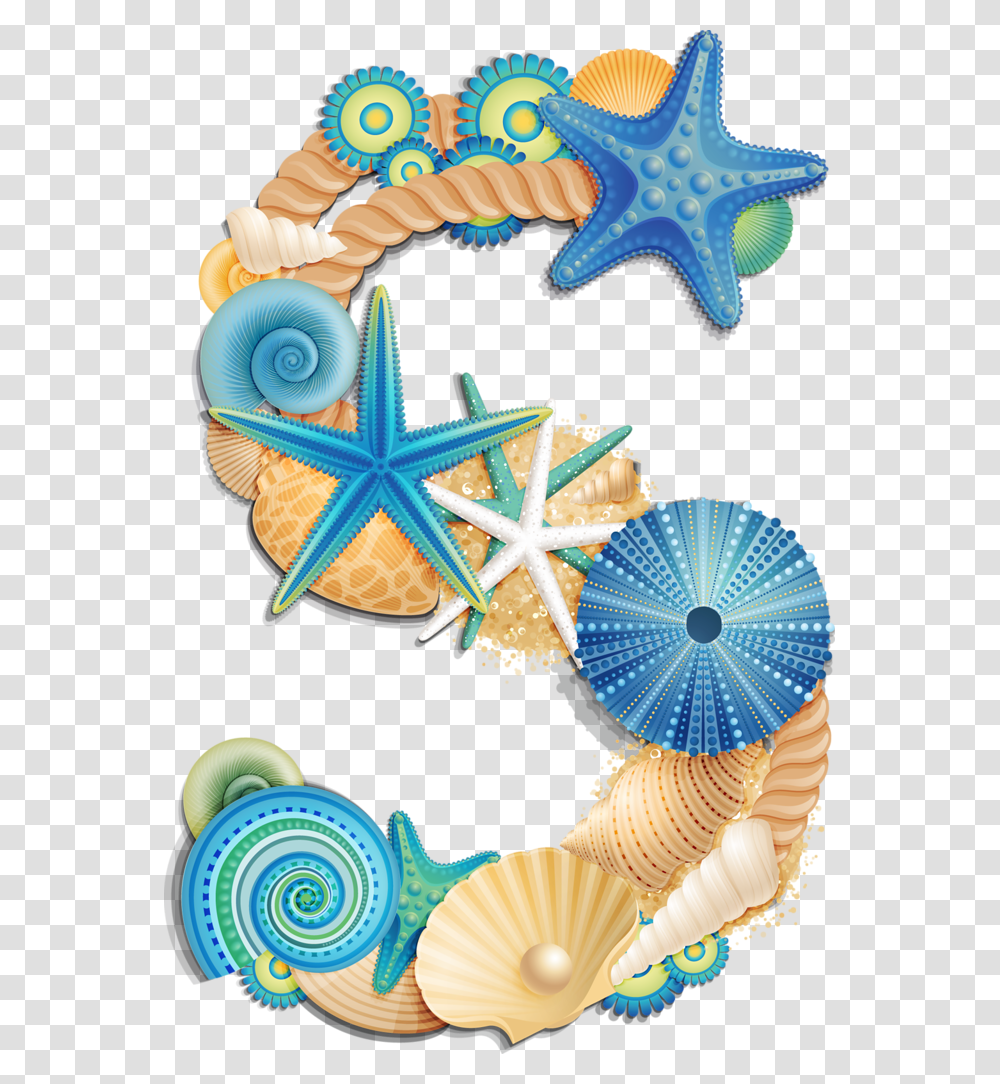 Seashells Clipart Letters, Sea Life, Animal, Star Symbol, Invertebrate Transparent Png