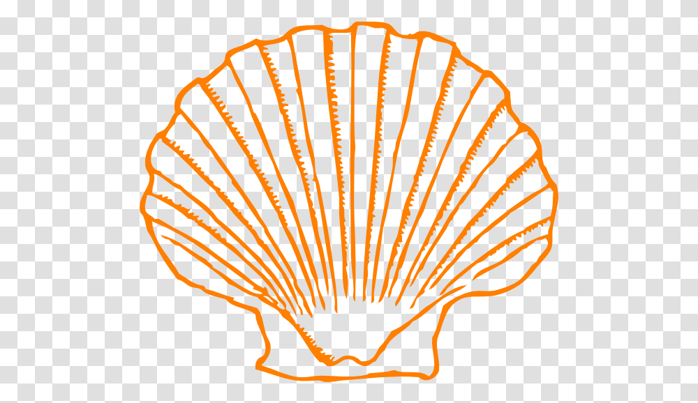 Seashells Clipart Orange Shell Clipart Purple Shell Clip Art, Logo, Symbol, Trademark, Emblem Transparent Png