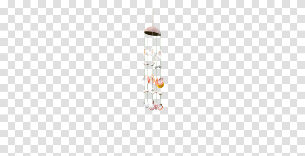 Seashells For Sale Sea Shells For Decorations Crafts, Chime, Musical Instrument, Windchime, Chandelier Transparent Png