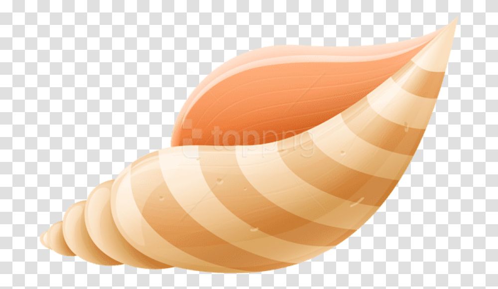 Seashells Shell Clipart Background, Tape, Food, Bread, Bun Transparent Png