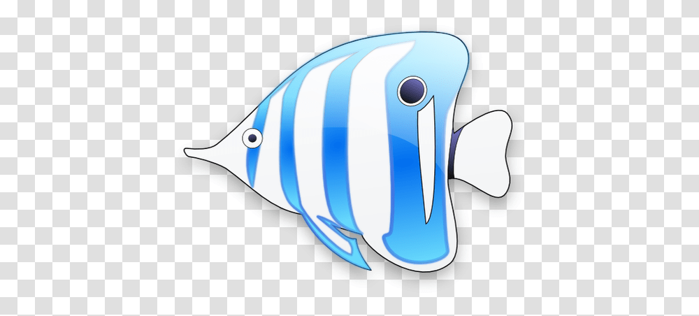 Seashore Icon, Surgeonfish, Sea Life, Animal, Angelfish Transparent Png