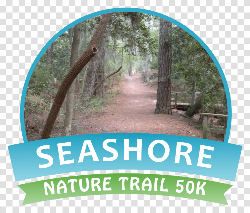 Seashore Nature Trail, Tree, Plant, Vegetation, Path Transparent Png