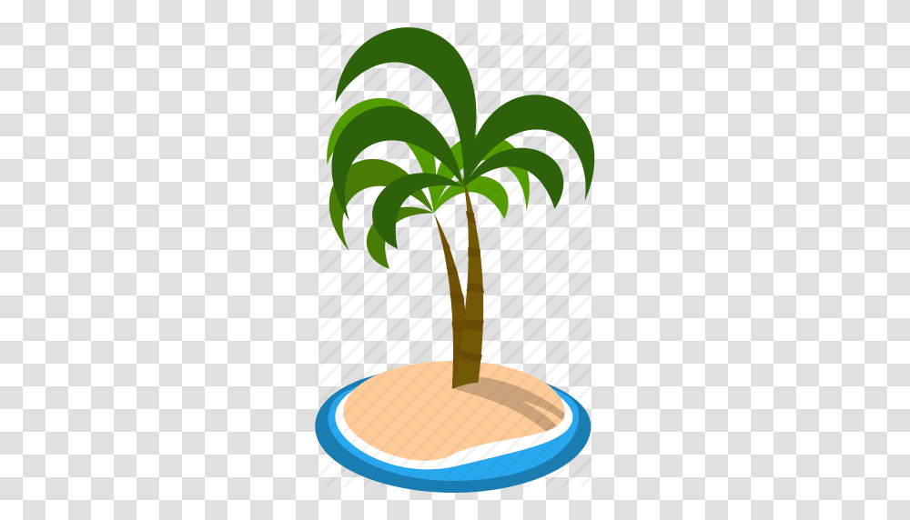 Seaside Clipart Coconut Island, Plant, Palm Tree, Arecaceae, Vegetable Transparent Png