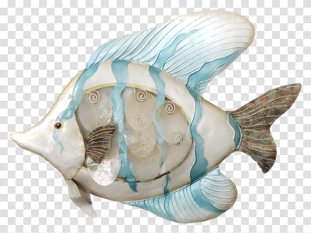 Seaside Tropical Fish Wall Art Conch, Animal, Sea Life, Sphere, Glass Transparent Png