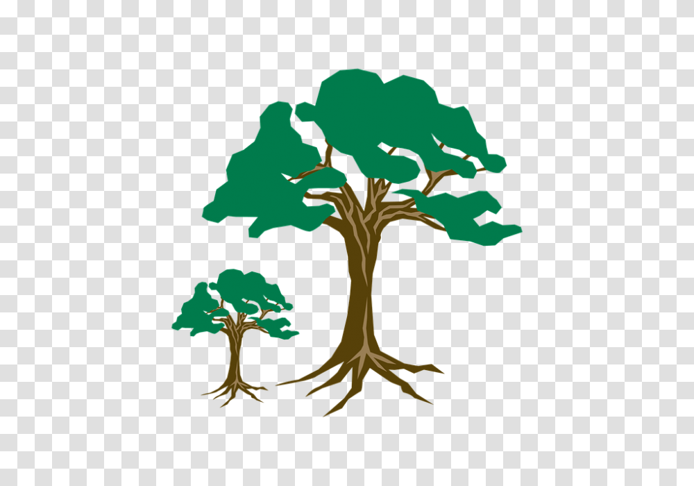 Season Clipart Nature, Plant, Root, Tree, Oak Transparent Png