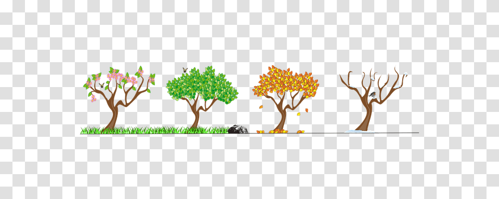 Seasons Nature, Tree, Plant, Flower Transparent Png