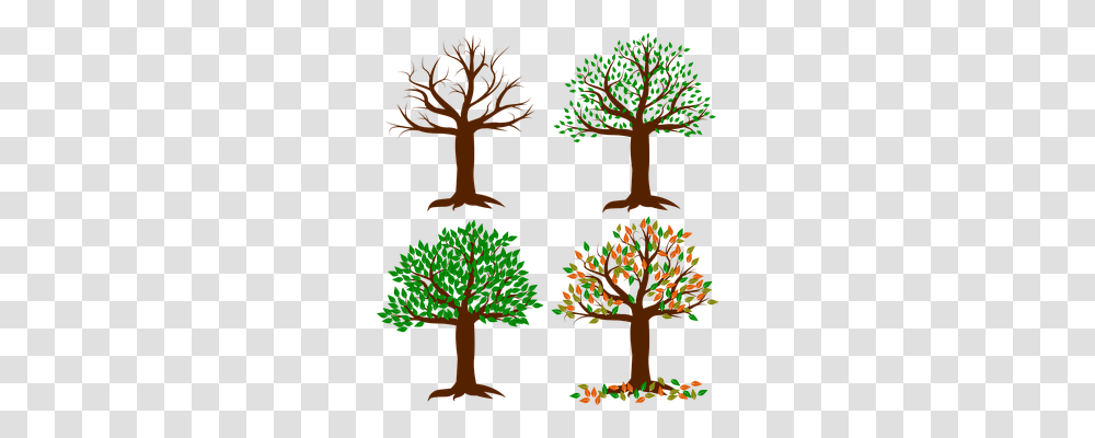 Seasons Of The Year Nature, Tree, Plant, Conifer Transparent Png