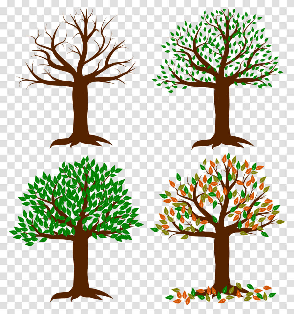 Seasons Of The Year In Sa, Tree, Plant, Vegetation, Lighting Transparent Png