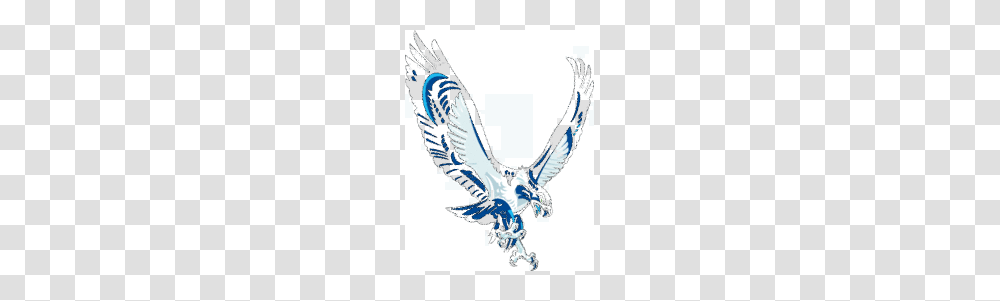 Seattle Clip Art Download Clip Arts, Jay, Bird, Animal, Eagle Transparent Png