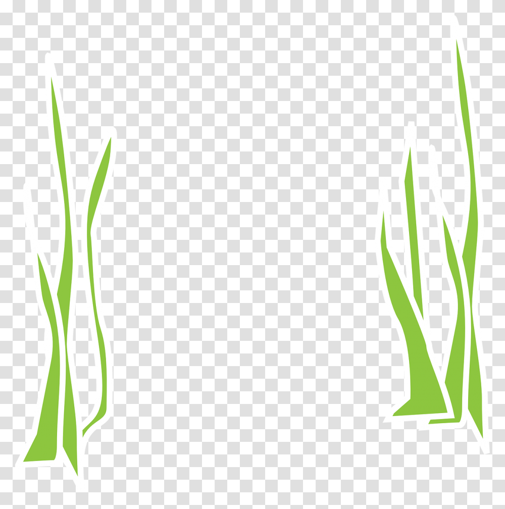 Seaweed Aqua Flora Marine Reeds Grass Underwater Gambar Ilustrasi Rumput Laut, Plant, Potted Plant, Vase, Jar Transparent Png