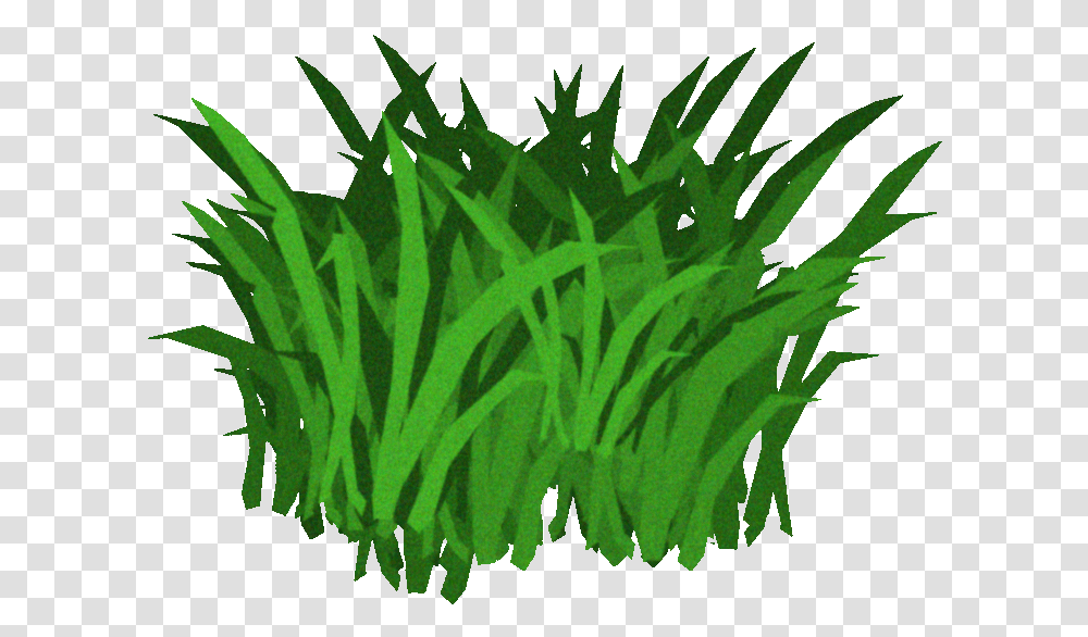 Seaweed Background, Plant, Green, Crystal, Light Transparent Png