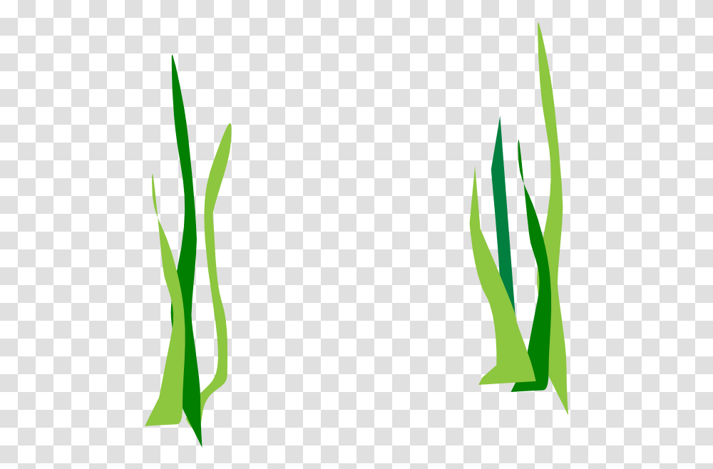 Seaweed Clipart Background Seaweed Clipart, Plant, Grass, Green, Flower Transparent Png