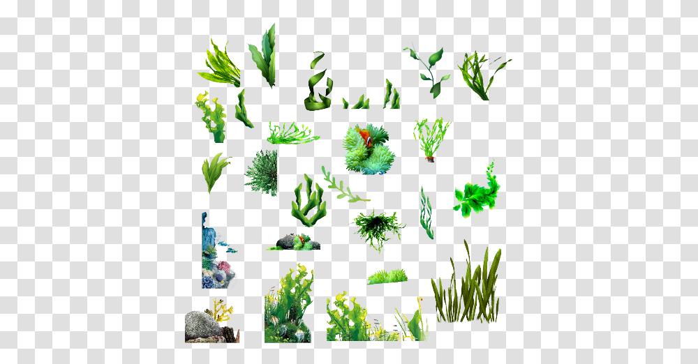 Seaweed Clipart Background Seaweed, Vase, Jar, Pottery, Plant Transparent Png