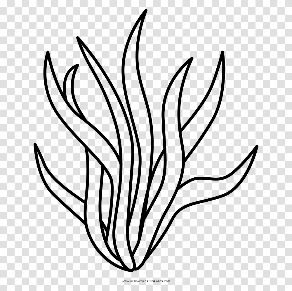 Seaweed Clipart Black And White, Gray, World Of Warcraft Transparent Png