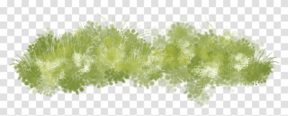 Seaweed Clipart Grass Land Grass Painting, Green, Plant, Moss, Algae Transparent Png