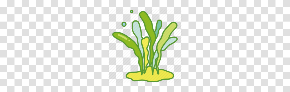 Seaweed Clipart, Plant, Food, Relish, Vegetable Transparent Png