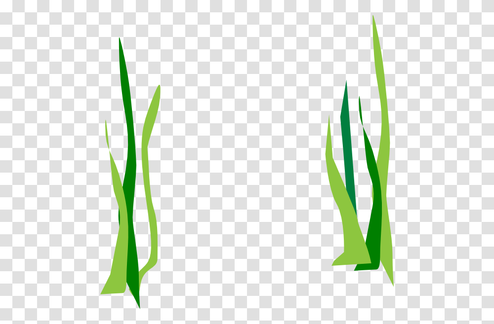 Seaweed Clipart, Plant, Grass, Leaf, Flower Transparent Png