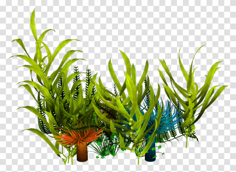 Seaweed Clipart Seaweed, Pattern, Fractal, Ornament, Water Transparent Png