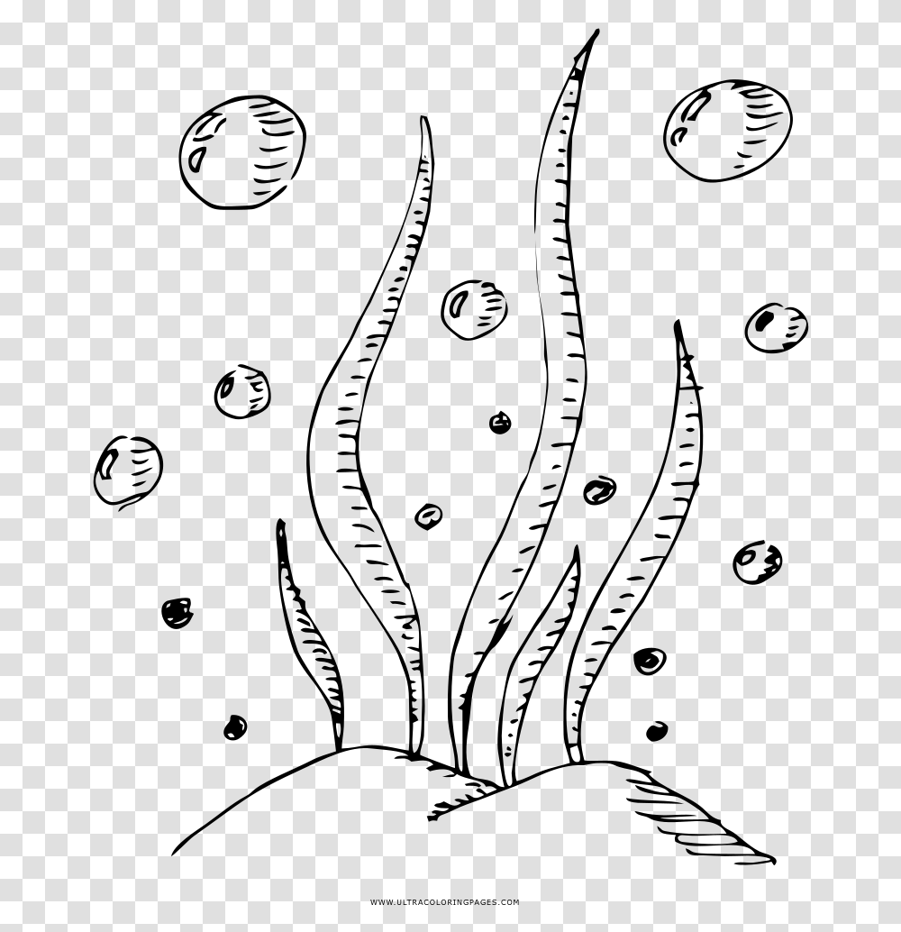 Seaweed Coloring, Gray, World Of Warcraft Transparent Png