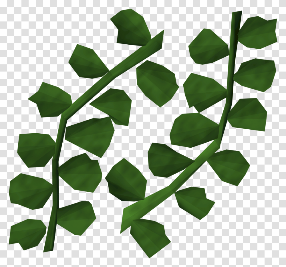 Seaweed Detail Seaweed Gifs, Leaf, Plant, Green, Ivy Transparent Png