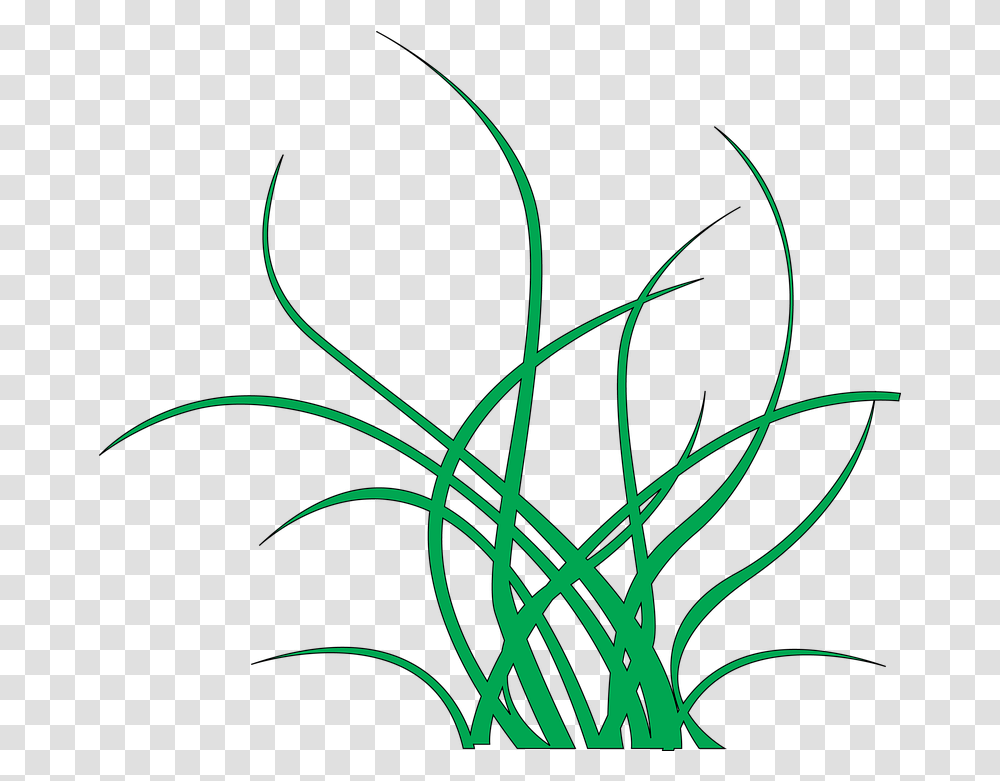 Seaweed Green Free Image On Pixabay Yosun, Graphics, Art, Floral Design, Pattern Transparent Png