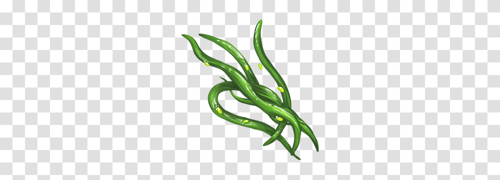 Seaweed, Green, Plant Transparent Png