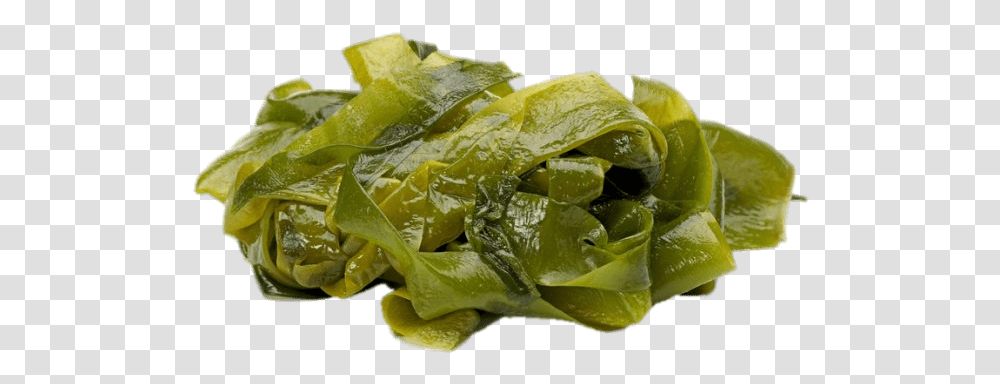 Seaweed Leaves Seaweed, Plant, Lettuce, Vegetable, Food Transparent Png