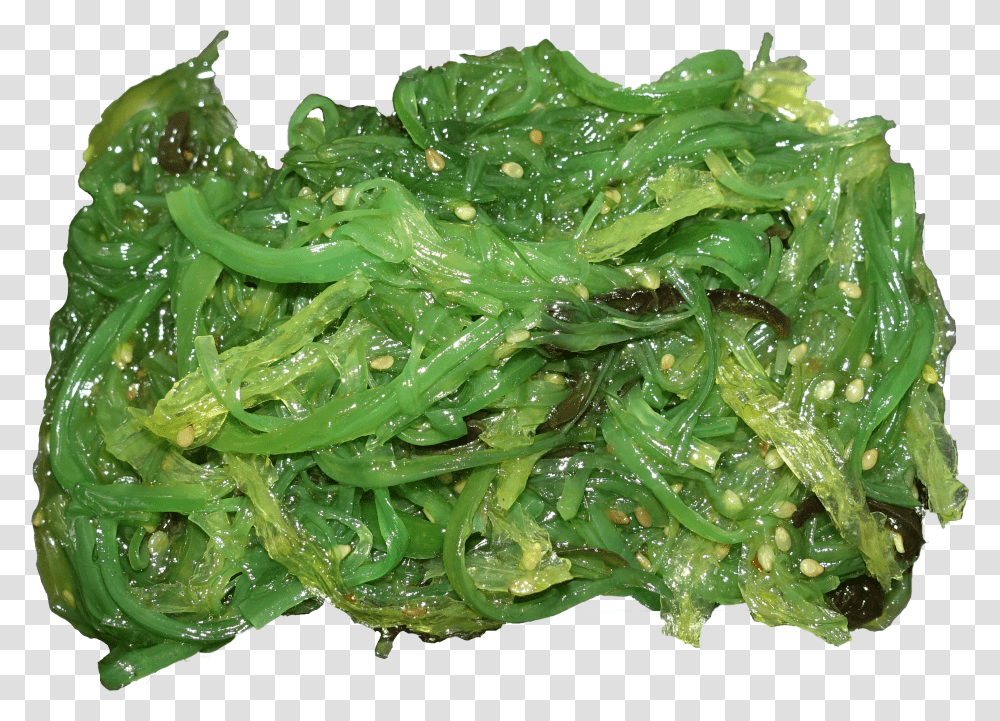 Seaweed Salad Ogonori Transparent Png