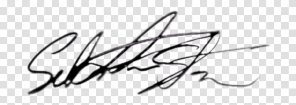 Sebastian Stan's Autograph Hope This Sticker Is Useful Sebastian Stan'signature, Handwriting, Outdoors, Scissors Transparent Png