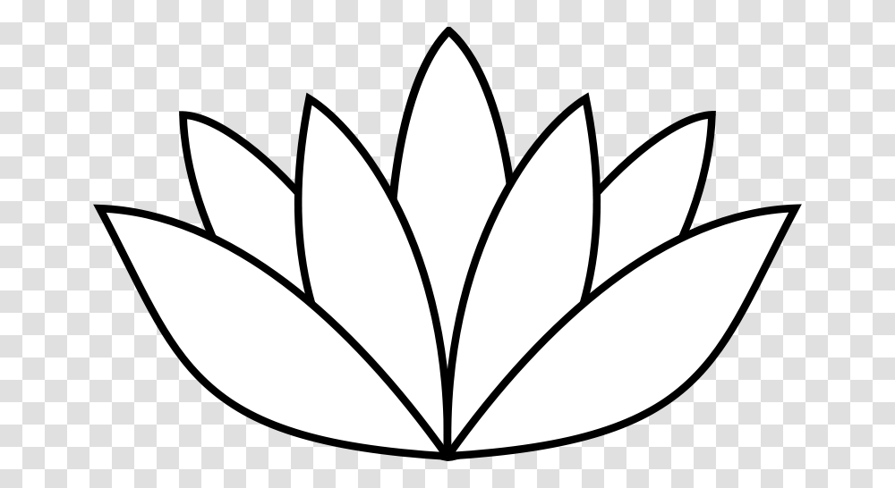 Sebek White Lotus Flower, Nature, Plant, Blossom Transparent Png