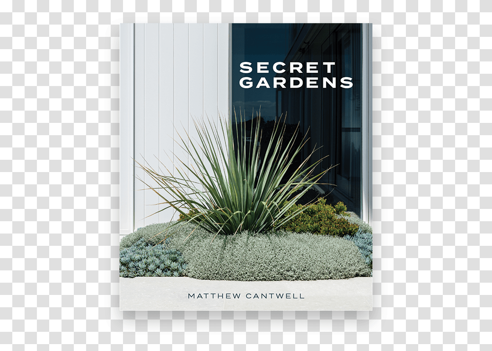 Secret Gardens Matthew Cantwell, Plant, Agavaceae, Door, Bush Transparent Png