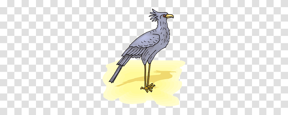 Secretary Animals, Bird, Waterfowl, Beak Transparent Png