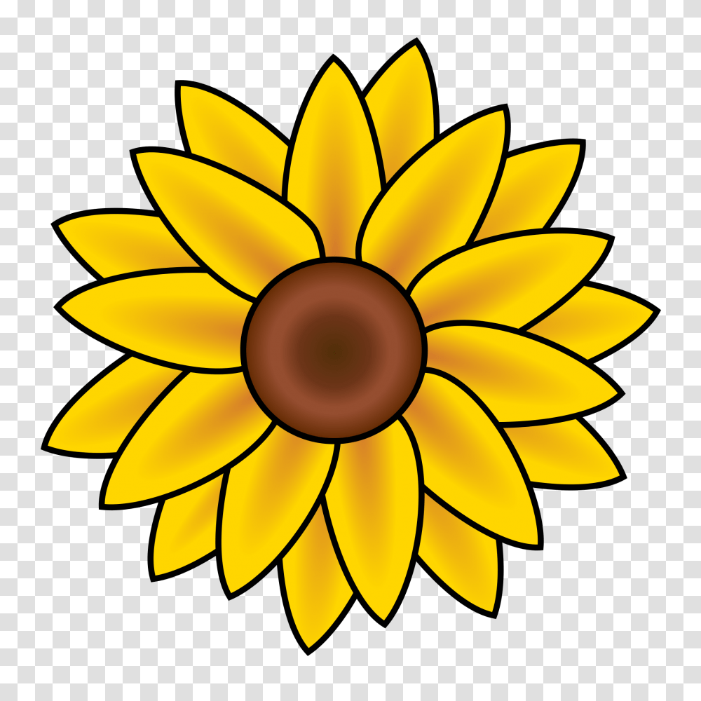 Secretary, Lamp, Plant, Flower, Blossom Transparent Png