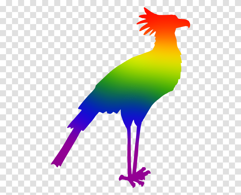 Secretarybird Silhouette Drawing Cygnini, Animal, Crane Bird, Person, Human Transparent Png