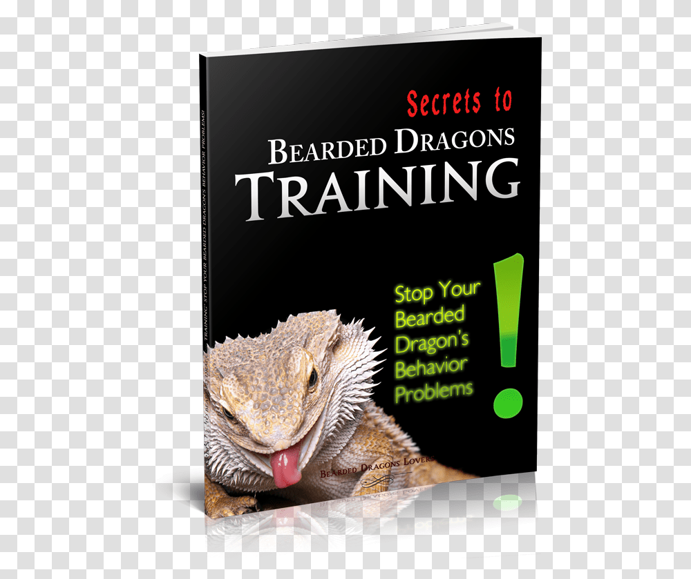 Secrets To Bearded Dragons Training Dragonology Bringing Up Baby Dragons, Iguana, Lizard, Reptile, Animal Transparent Png