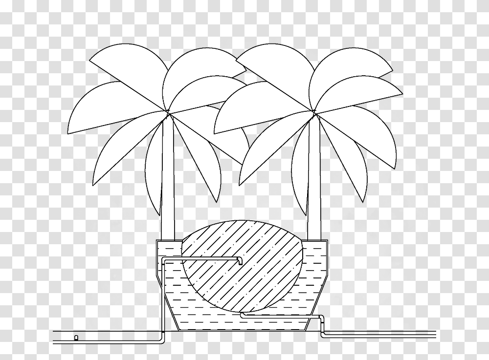 Section Banana Tree Illustration, Plant, Doodle, Drawing Transparent Png