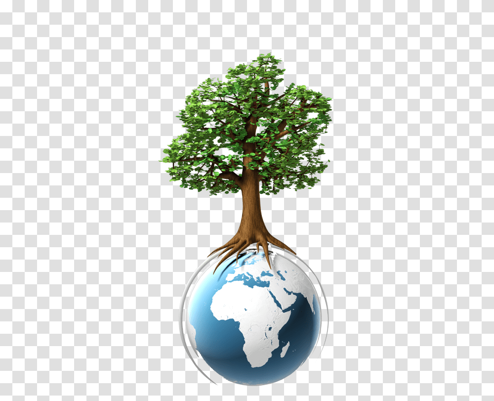 Security Inks Environmental Map, Tree, Plant, Potted Plant, Vase Transparent Png