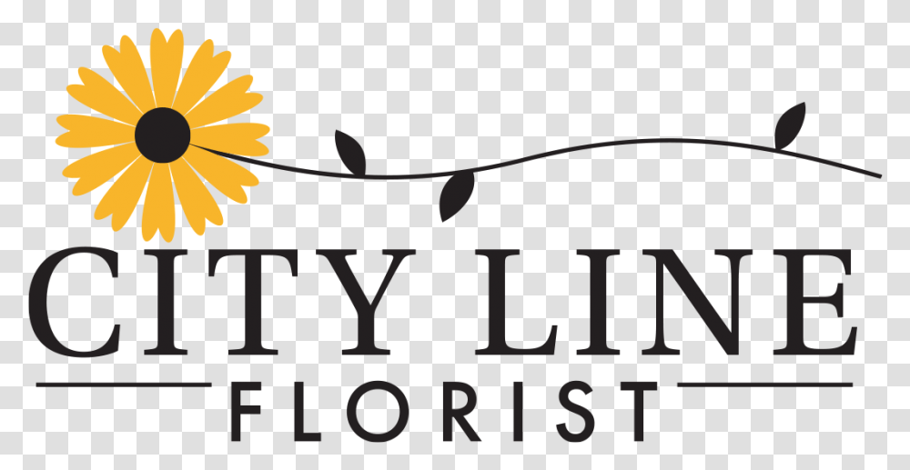See What Others Are Saying About City Line Florist African Daisy, Plant, Text, Flower, Blossom Transparent Png