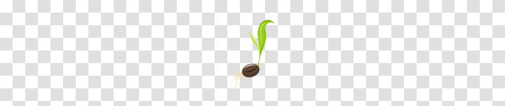 Seed Clipart Bean Clip Art, Plant, Vegetable, Food, Sprout Transparent Png