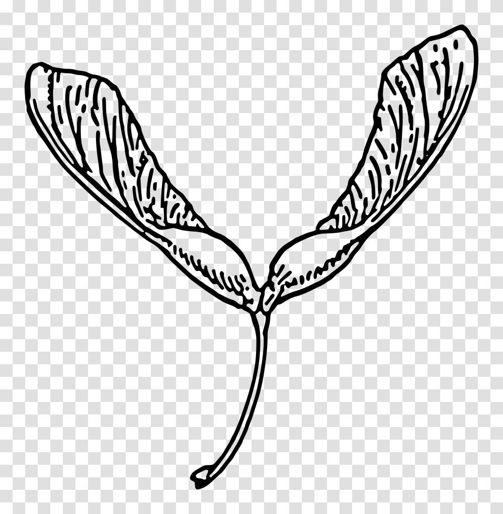 Seed Clipart Biology, Gray, World Of Warcraft Transparent Png