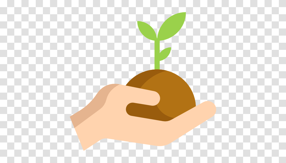 Seed Clipart Hand Planting, Vegetable, Food, Produce, Baseball Cap Transparent Png