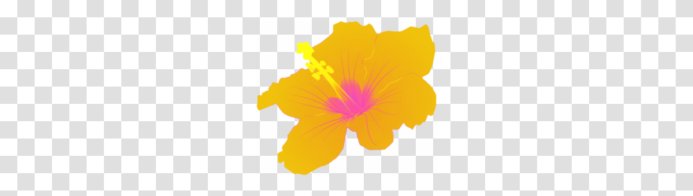 Seed Clipart, Hibiscus, Flower, Plant, Blossom Transparent Png