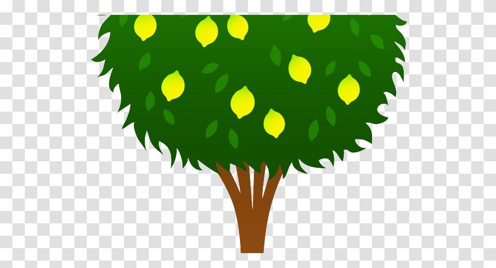 Seed Clipart Lemon Tree Drawing Easy, Plant, Food, Produce, Root Transparent Png
