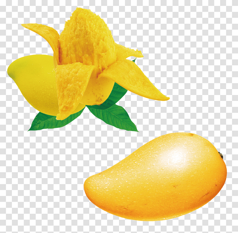 Seed Clipart Mango Seed Mango With Seed Hd, Plant, Fruit, Food, Flower Transparent Png